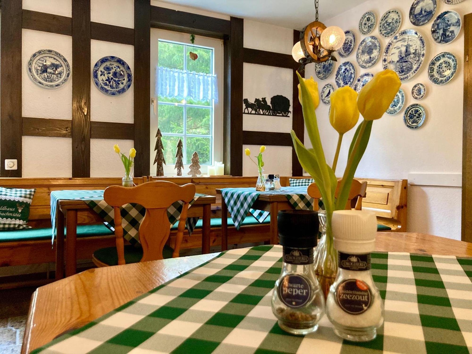 Waldhaus Wolfsbachmuehle 호텔 Hohegeiß 외부 사진